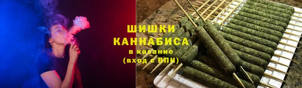 соль ск Новодвинск