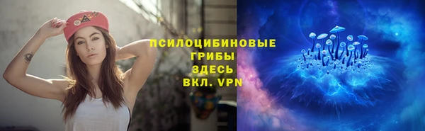 mdpv Липки