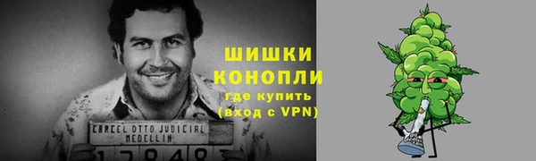 ПСИЛОЦИБИНОВЫЕ ГРИБЫ Новозыбков